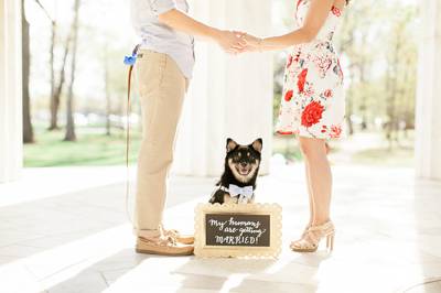 Washington Dc Springtime Engagement