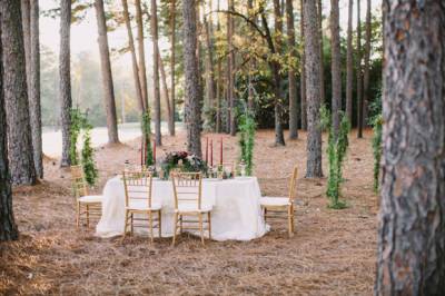 Gilded Woodlands Inspired Elopement