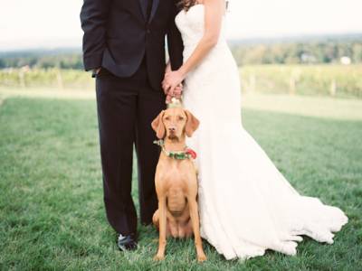 North Carolina Winery Wedding