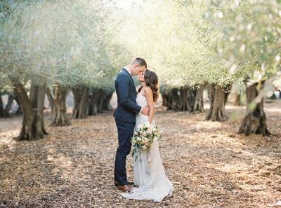 California Olive Grove Engagement Session