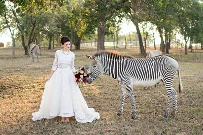 Fun & Modern Editorial With A Zebra