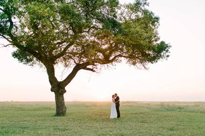 Modern Romance In The African Bush