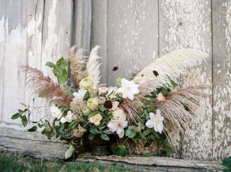 Pampas Grass