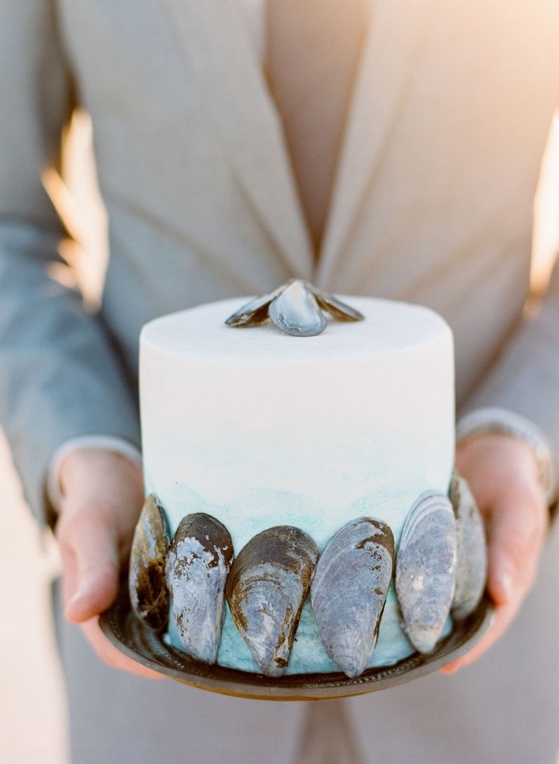 Cake with shells