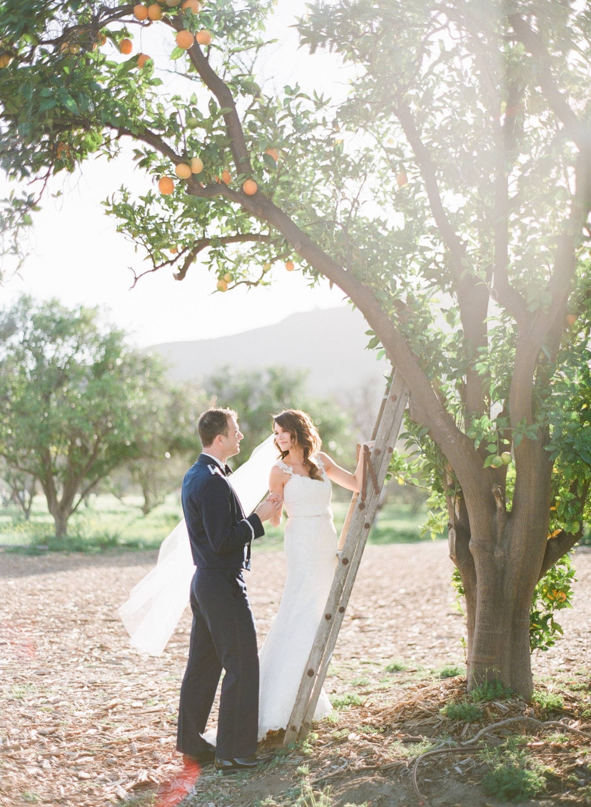 Dreamy wedding aftershoot at Hamilton Oaks Winery