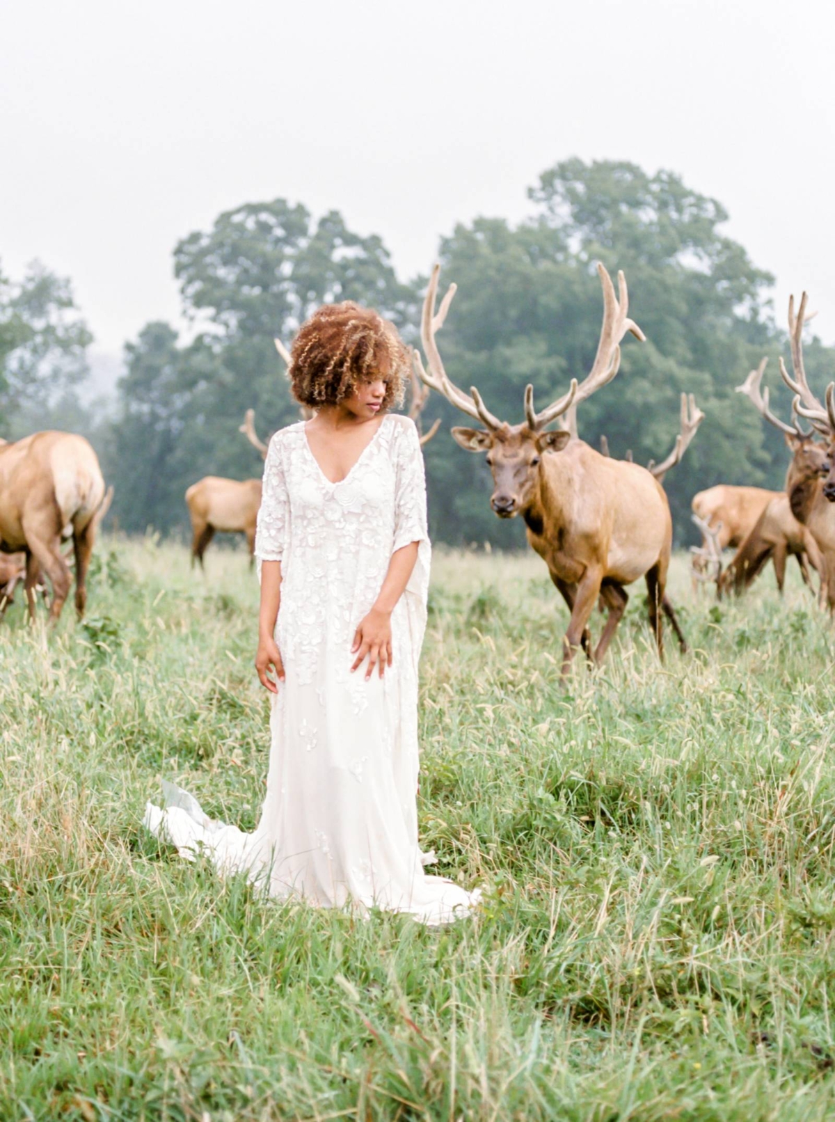 Organic bridal shoot amongst majestic elk