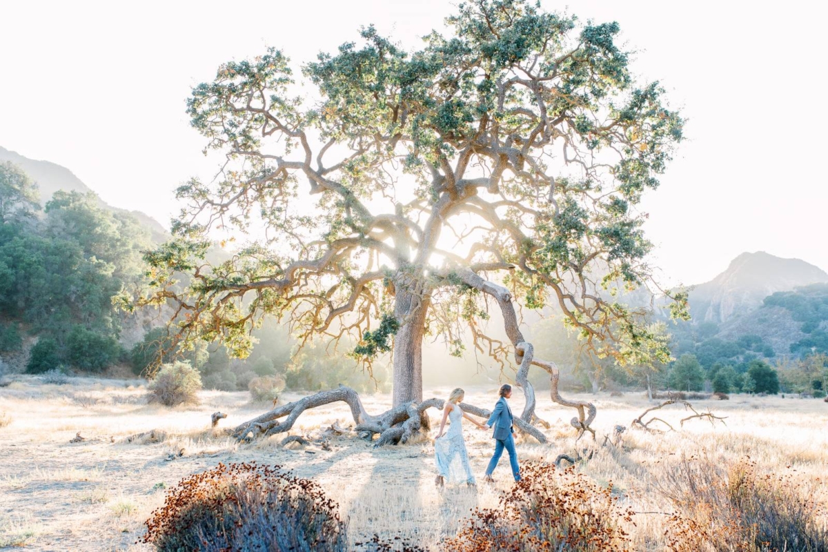 Dreamy Sunset Engagement Session in Malibu Hills