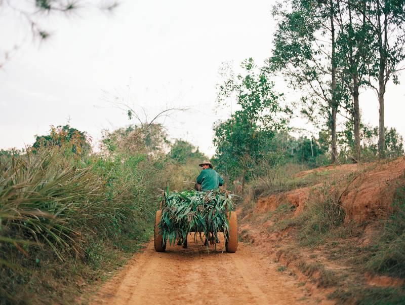 Destination: Cuba with Brumley & Wells