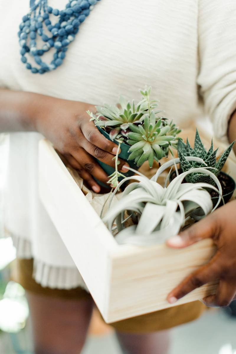 Shop tour: North Carolina plant store The Zen Succulent