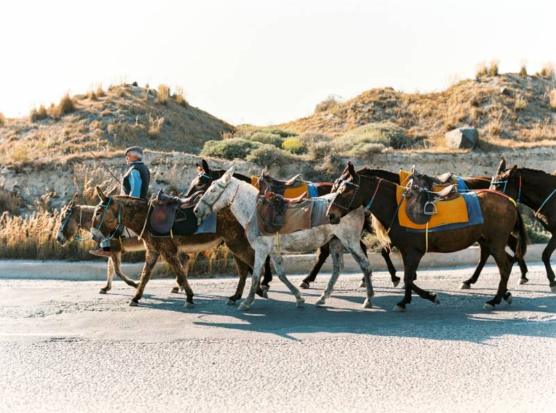 Destination: Santorini with Melanie Osorio Photography