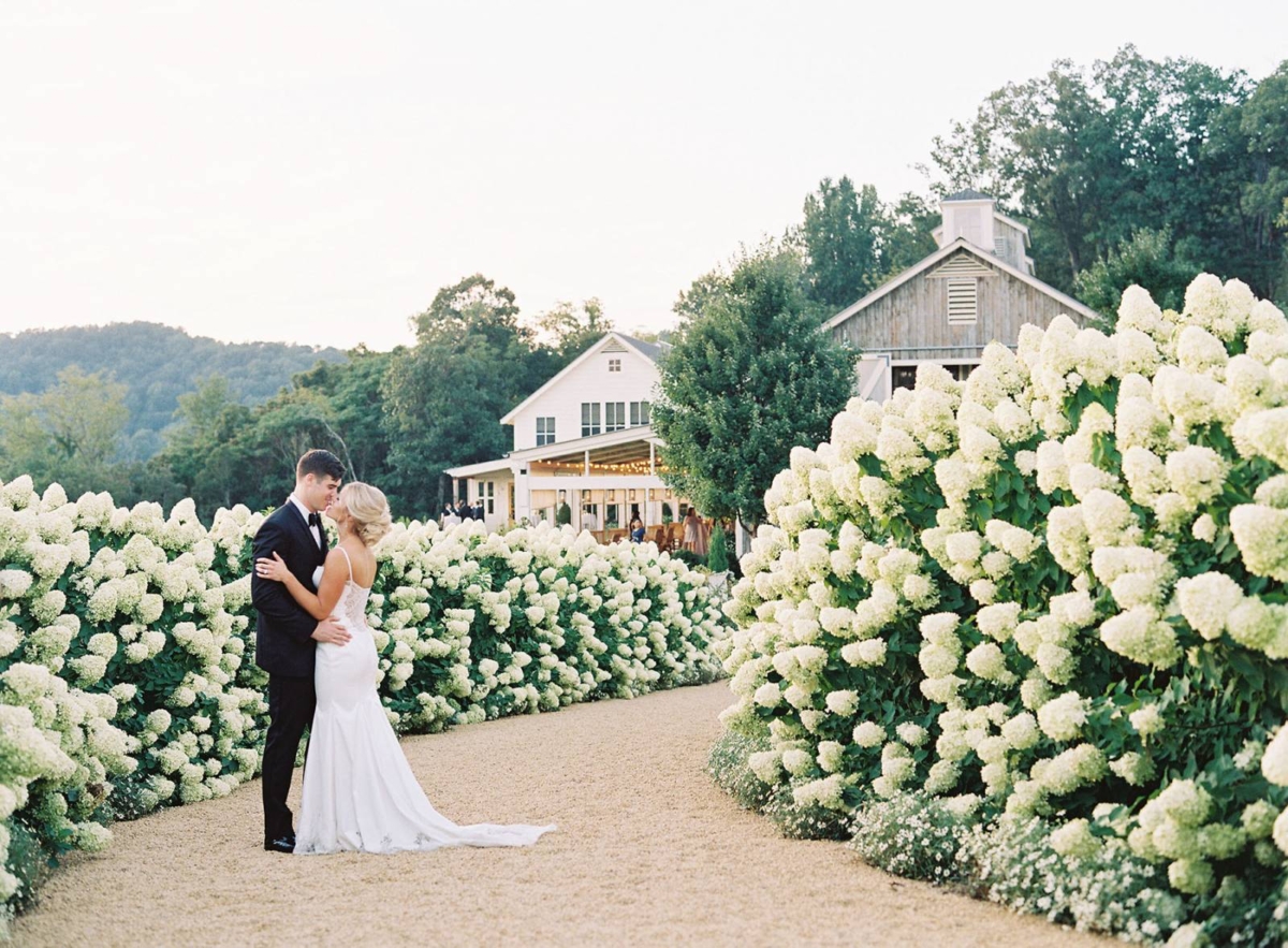 An elegant wedding at Pippin Hill Farm in Virginia wine country