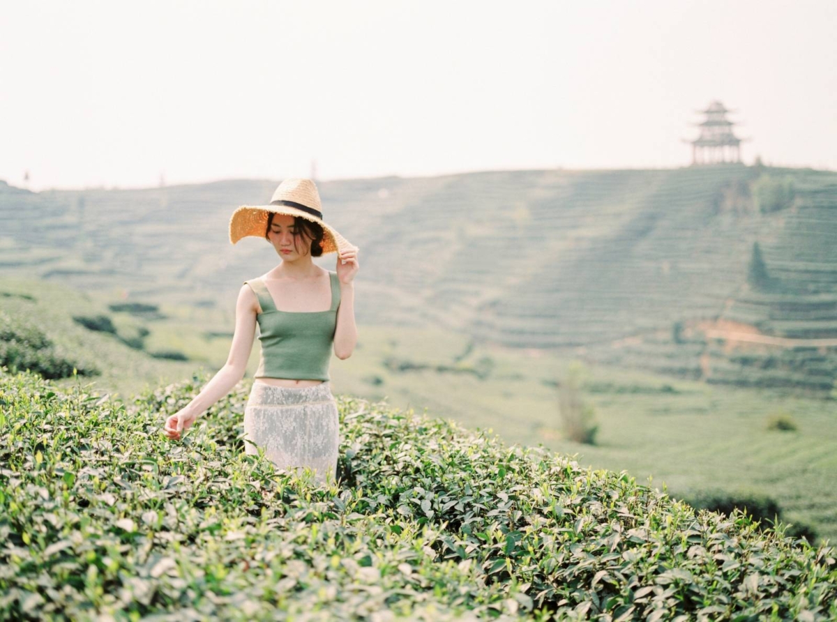 Simple Lifestyle shoot in a field of tea in China