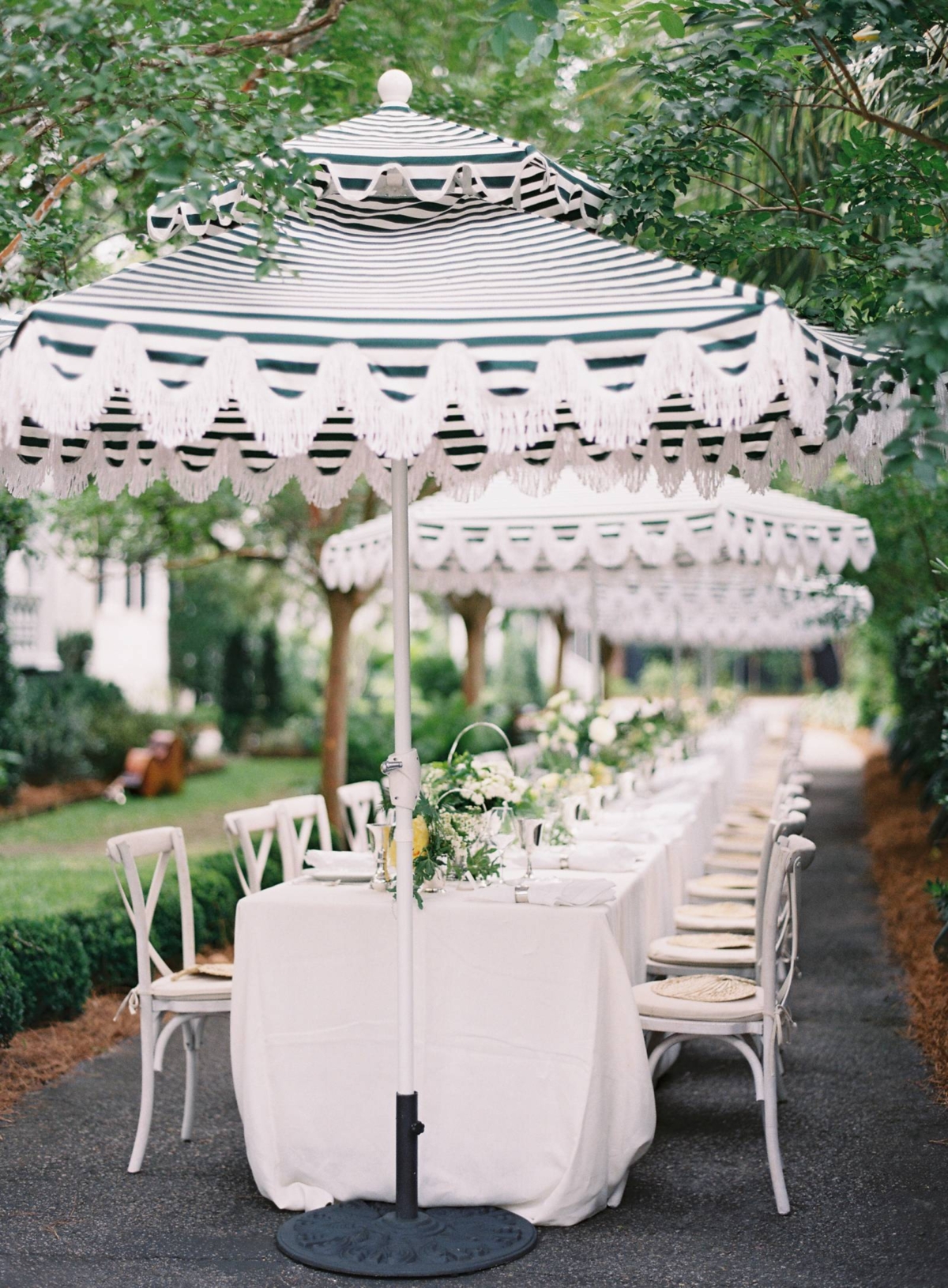 Chic & elegant backyard summer wedding in Charleston