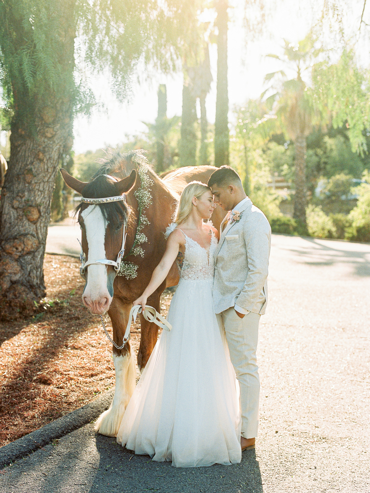 San Diego Countryside Wedding Inspiration with a Clydesdale