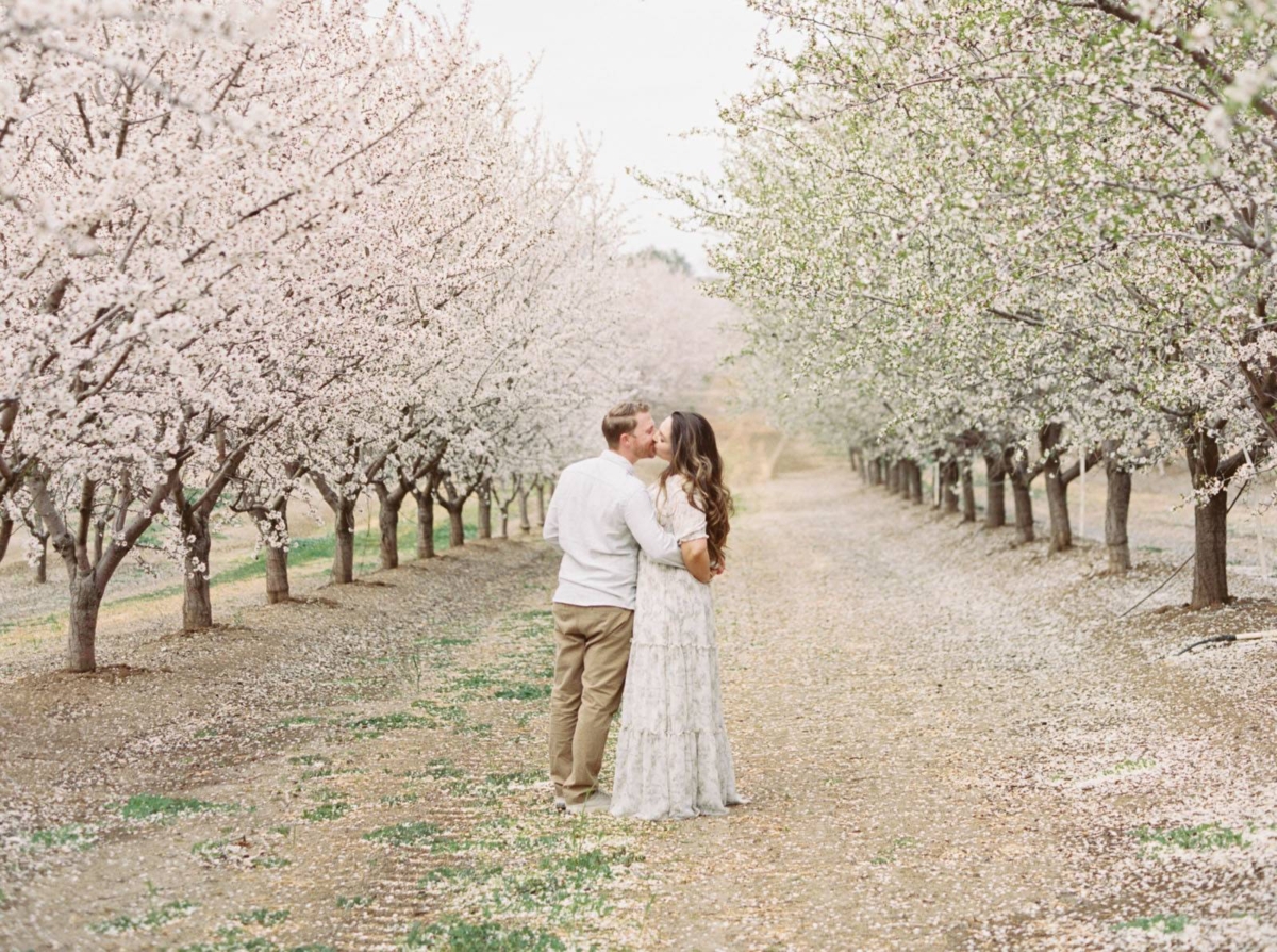 Romantic Picnic Engagement under a canopy of almond blossoms