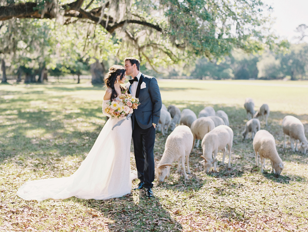 Celebrating springtime amongst the sheep at Middleton Place