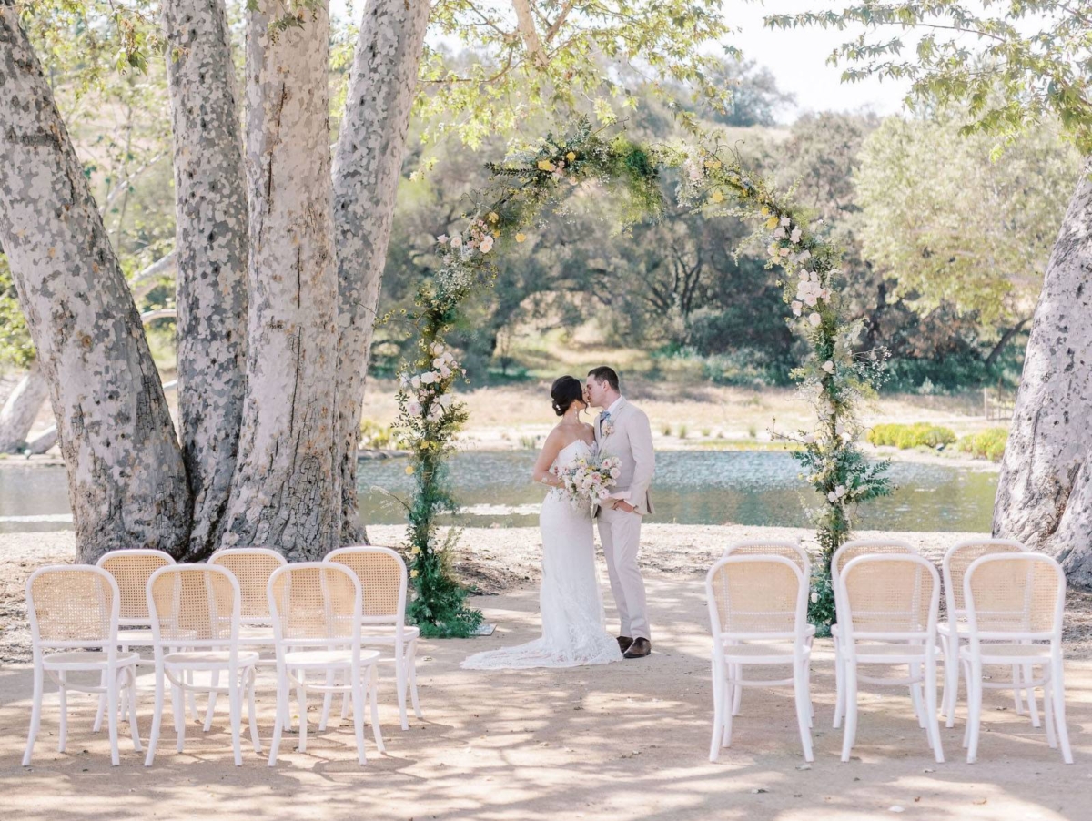 Romantic spring Vineyard Editorial In beautiful San Diego