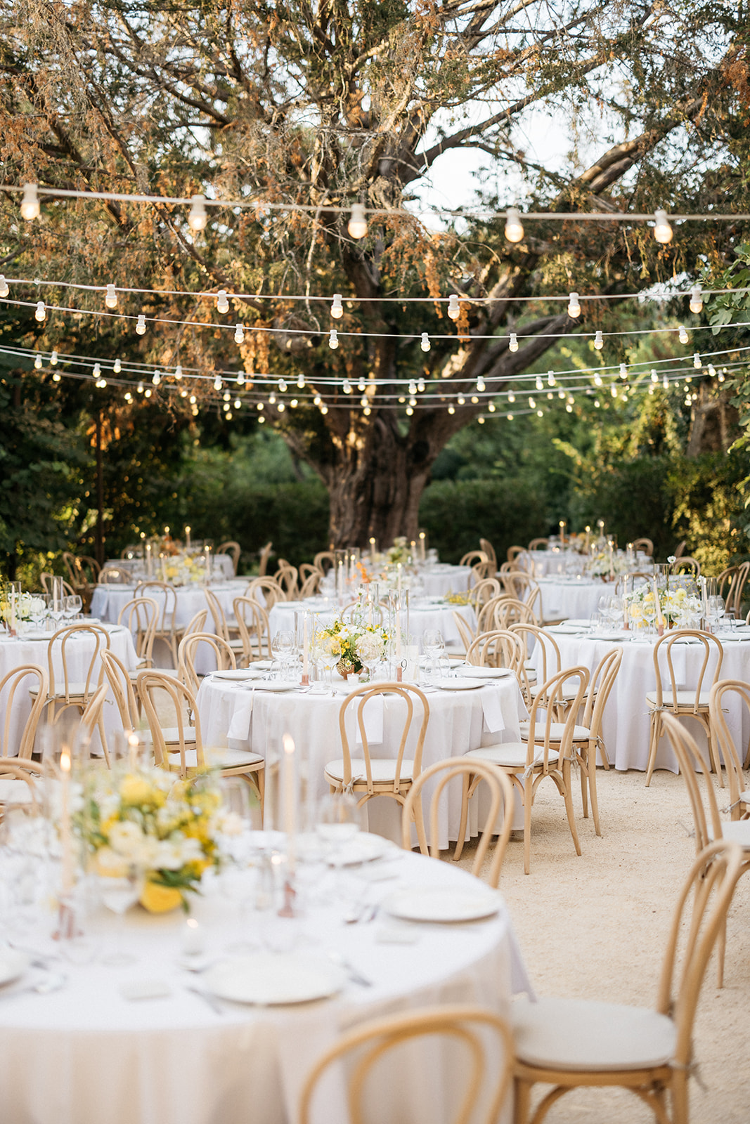 Wedding Planner Provence