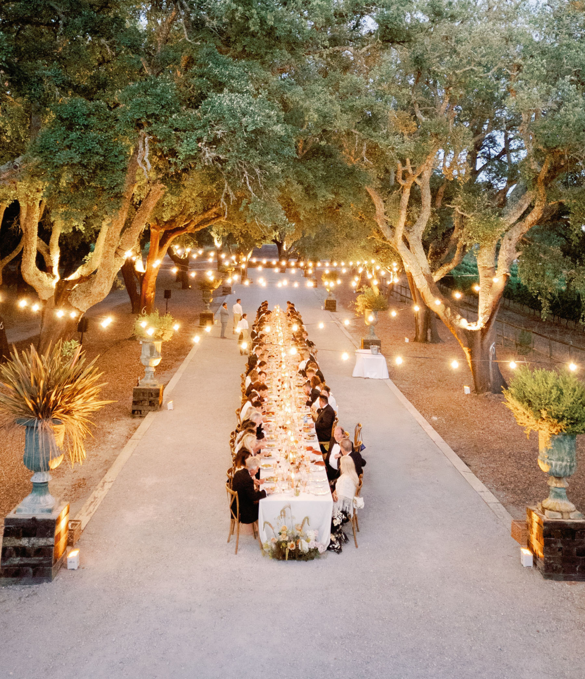 Elegant Vineyard Wedding in the Hills of Lisbon