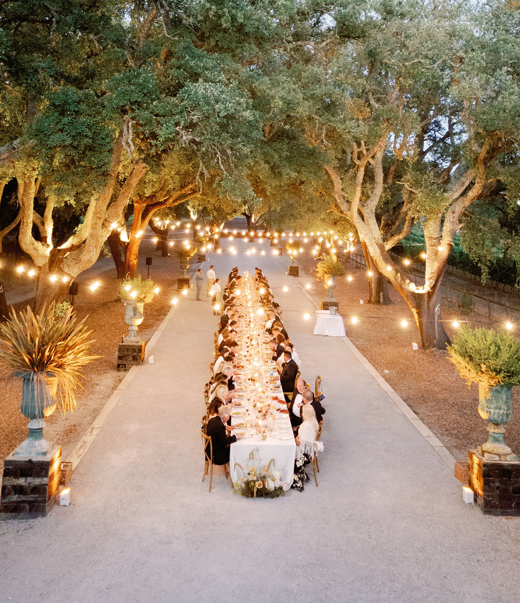 Elegant Vineyard Wedding in the Hills of Lisbon